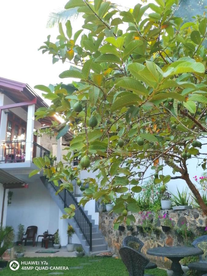 Villa Wismar Hikkaduwa Ngoại thất bức ảnh