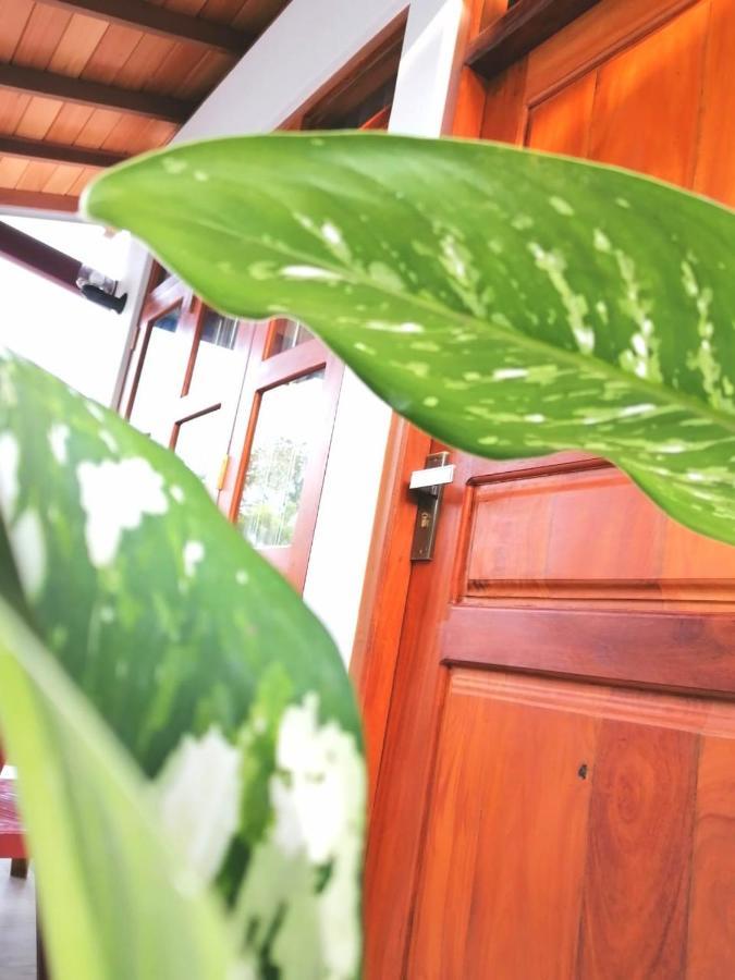 Villa Wismar Hikkaduwa Ngoại thất bức ảnh